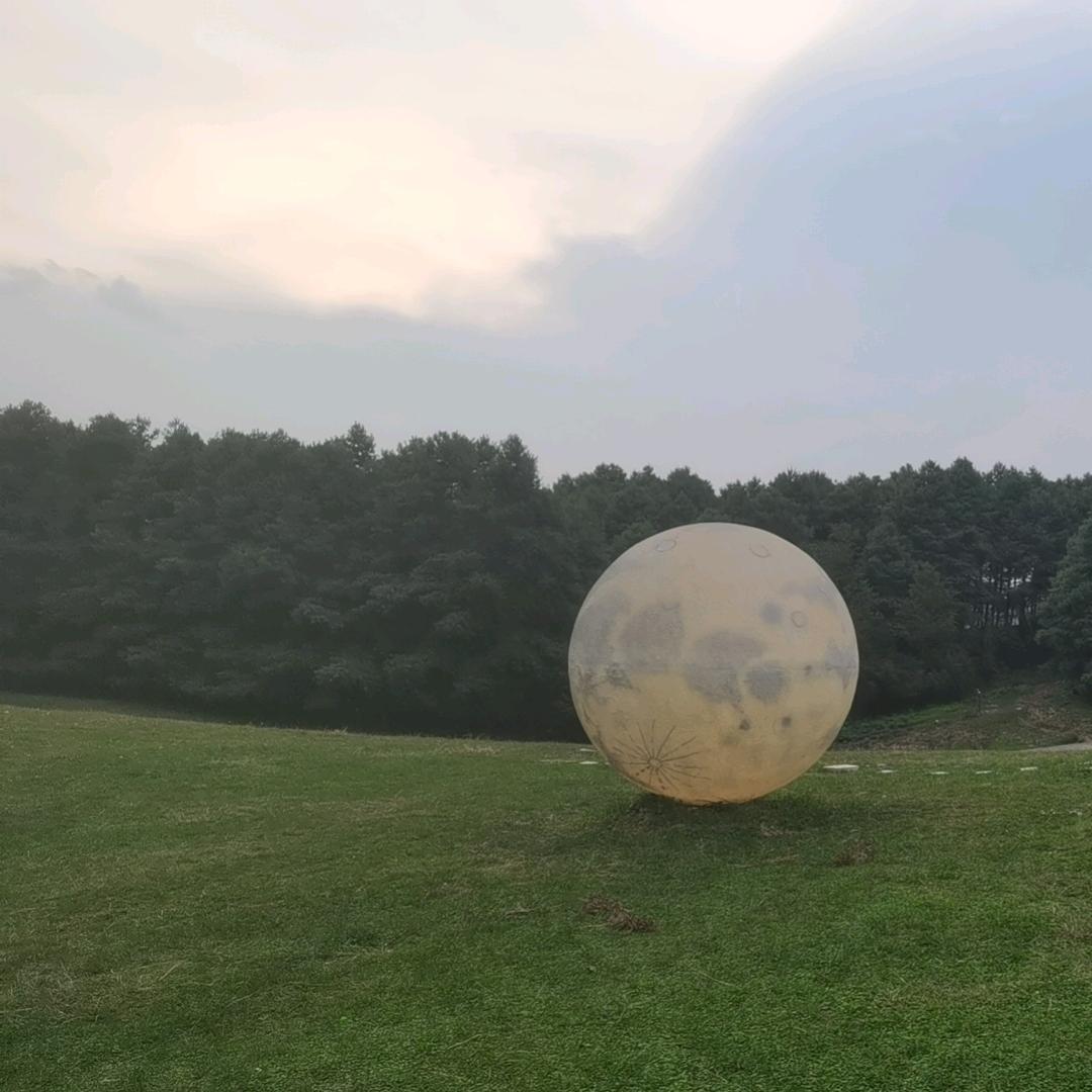 阿雄