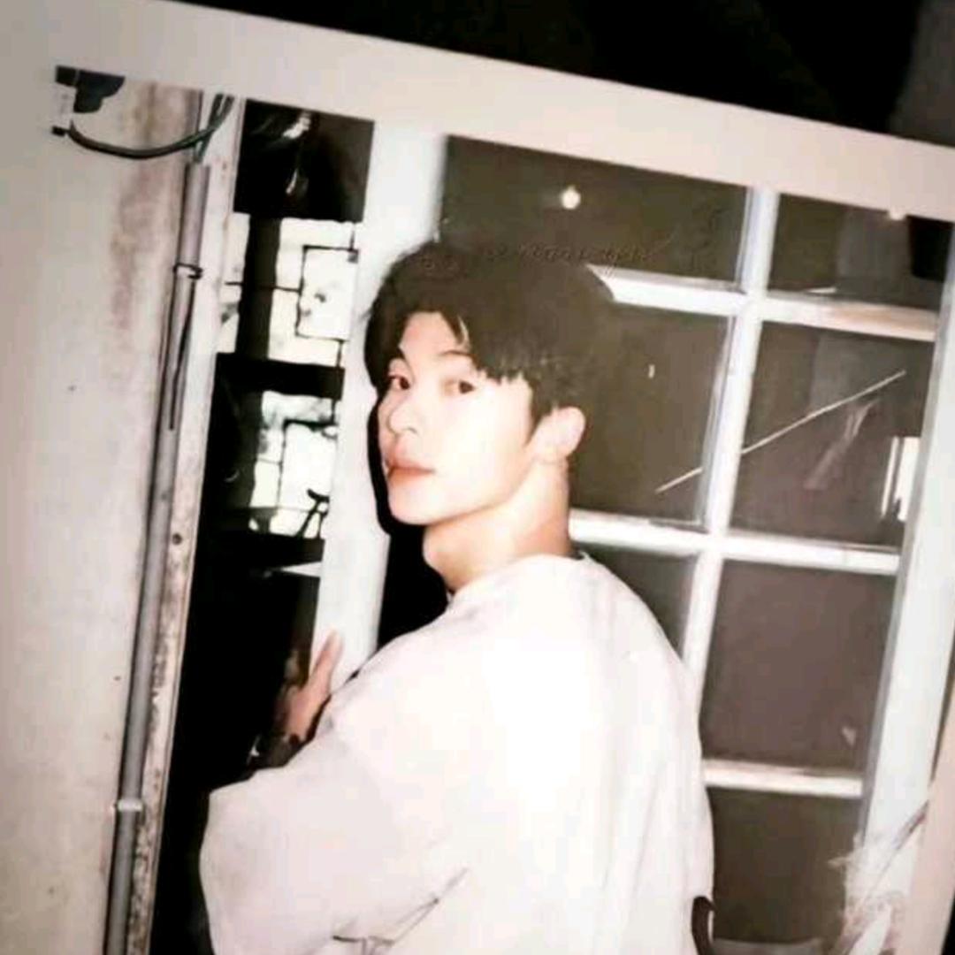 月光下的幸存者