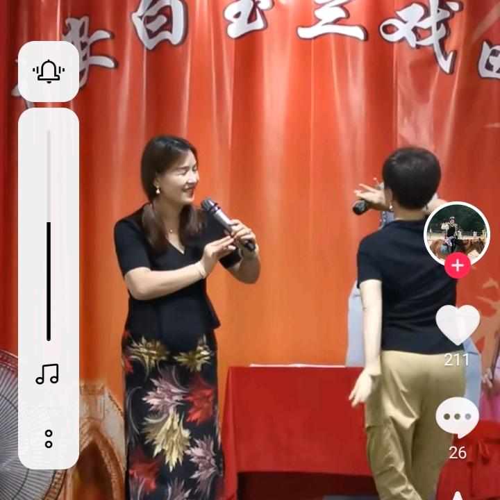 南方人士