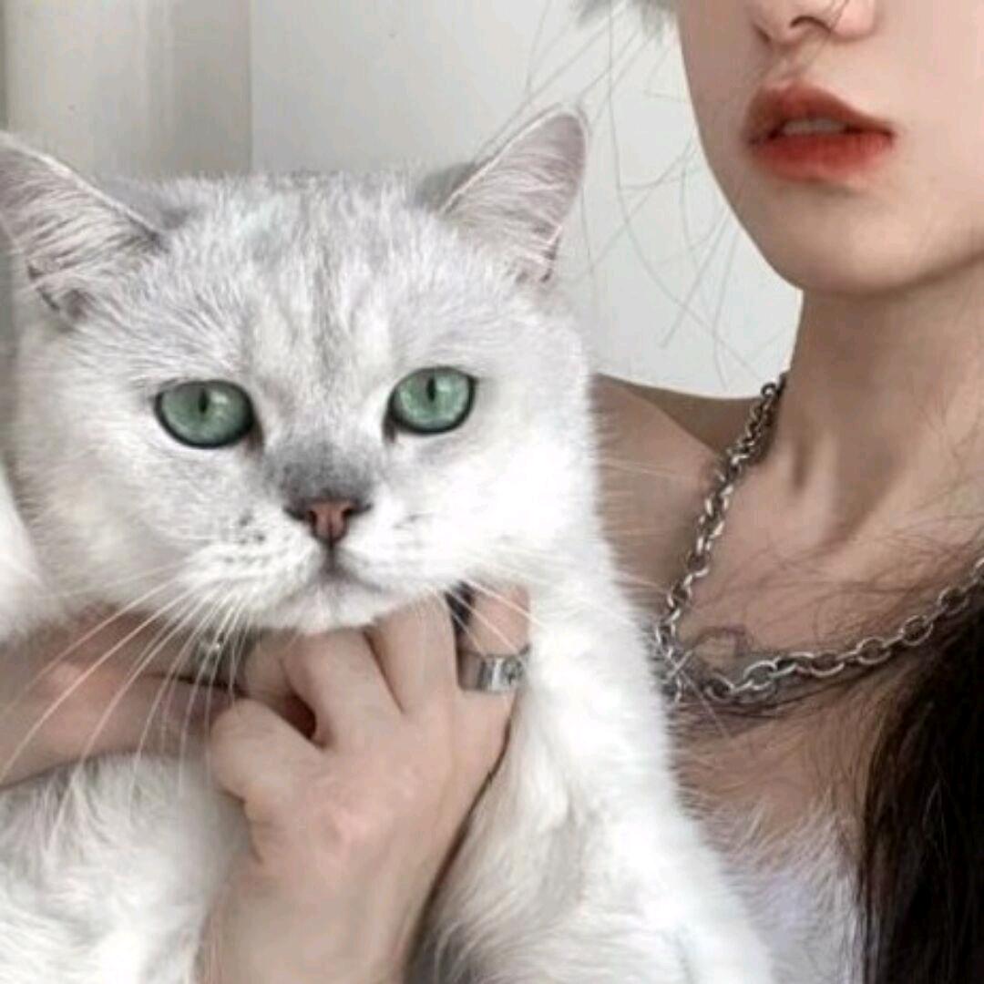 脑袋困⁴咯◔.̮◔
