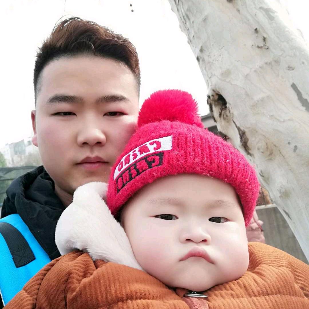 鲫鲫如律令