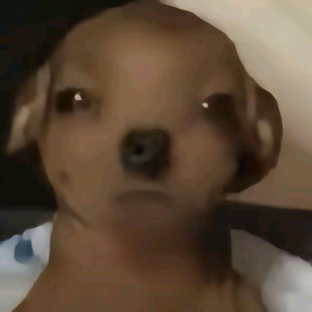性感lao鼠