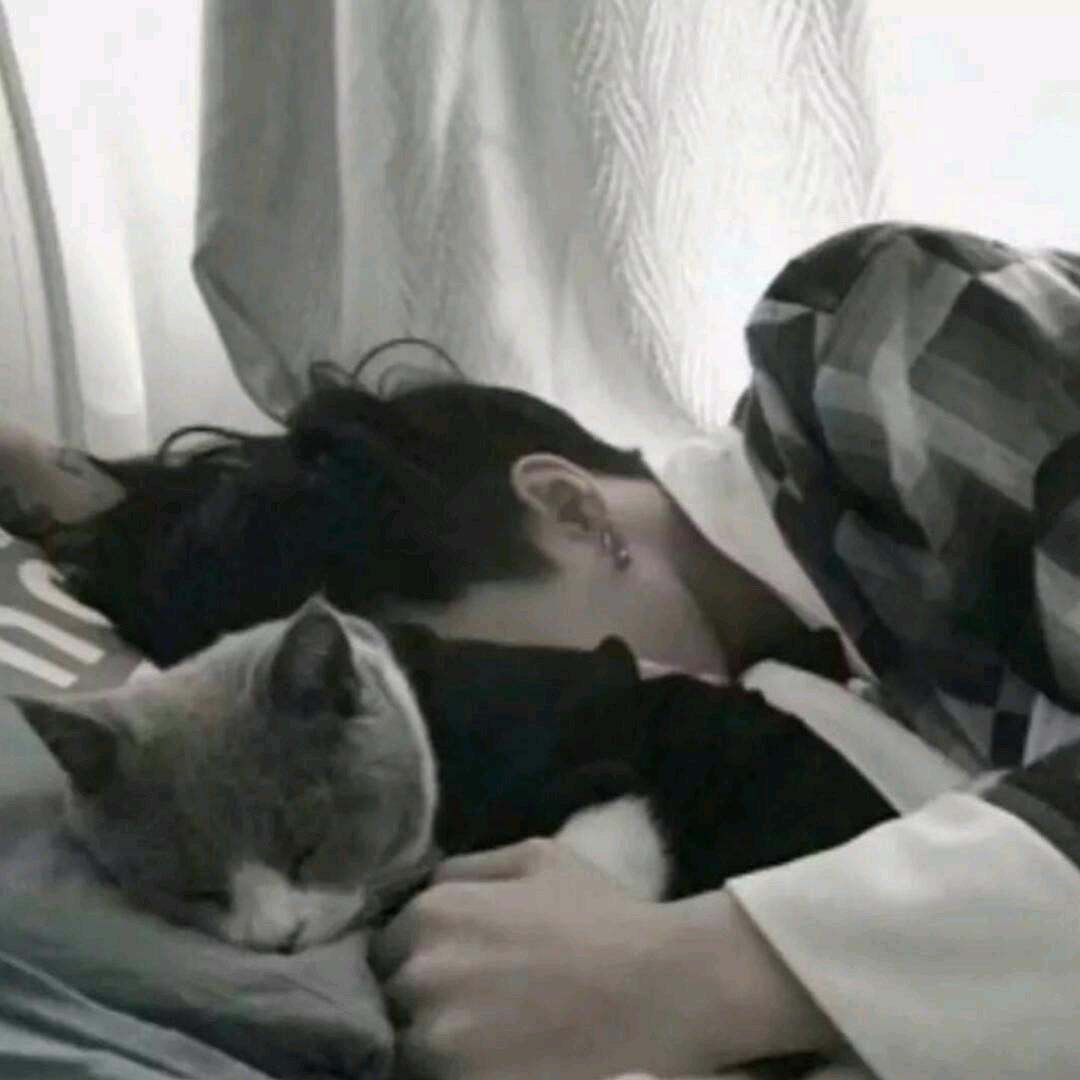 椿.