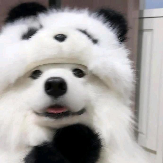 航天飞机