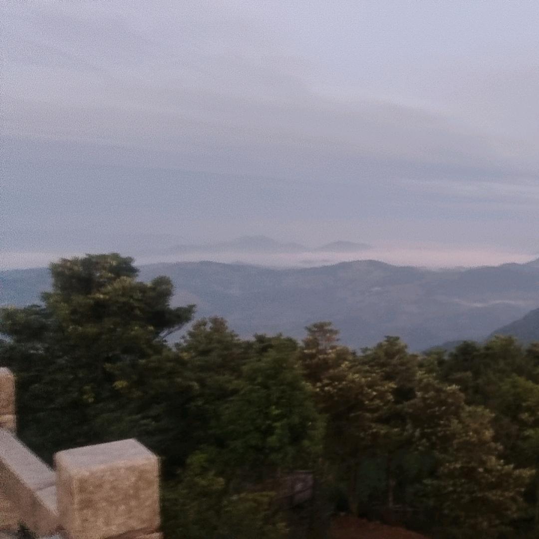 随风飘扬哈哈哈