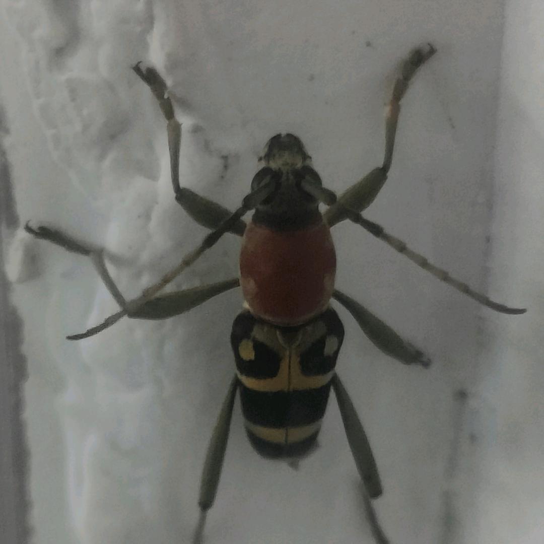 深知你不懂我的心