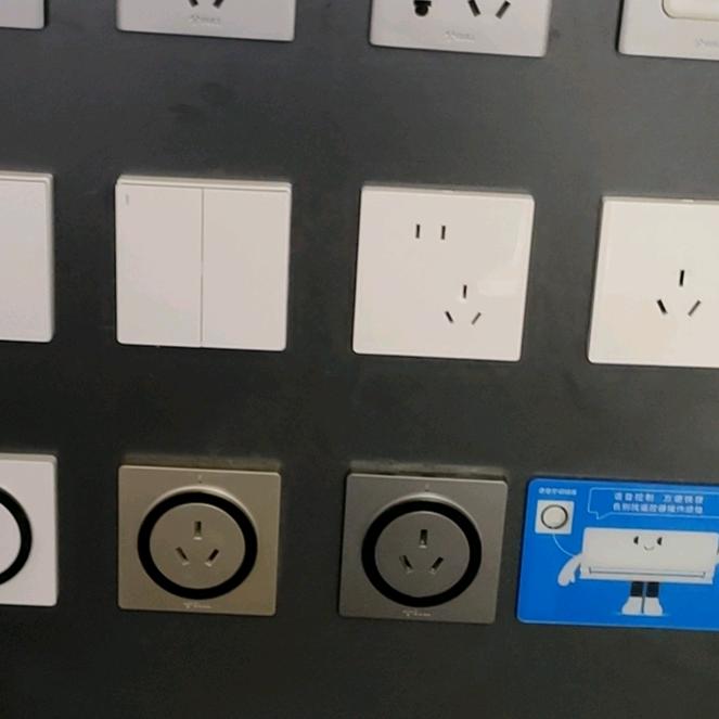 我家有只旺财金毛狗(*^ω^*)