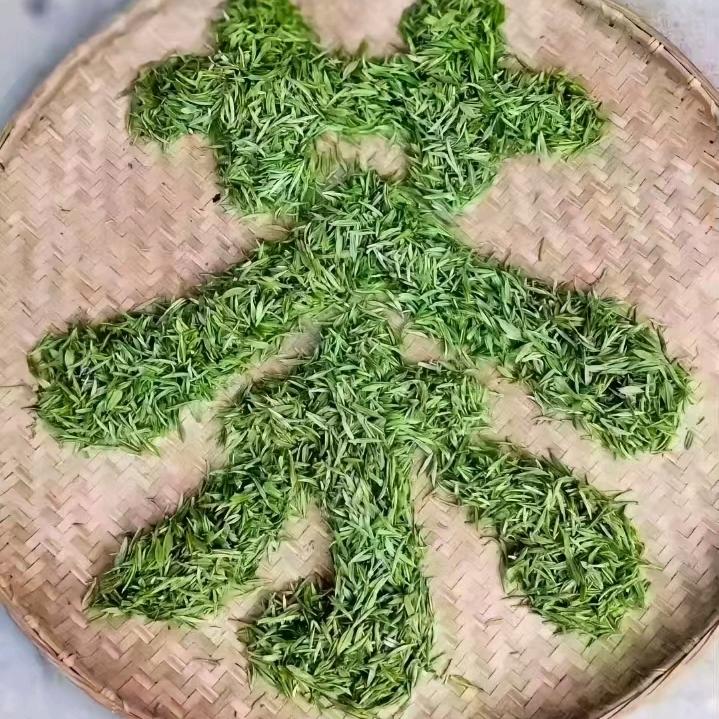 县河镇募缘村刘祖恩茶叶加工