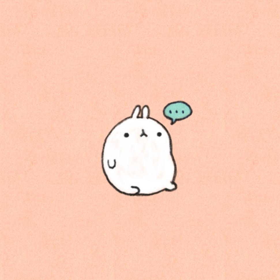 郝小宝