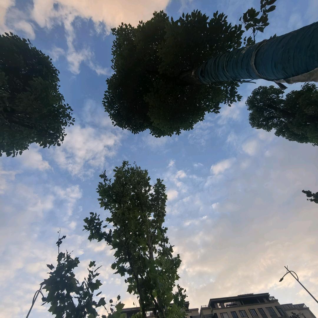 余念，