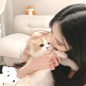 ✨愿天一直晴✨