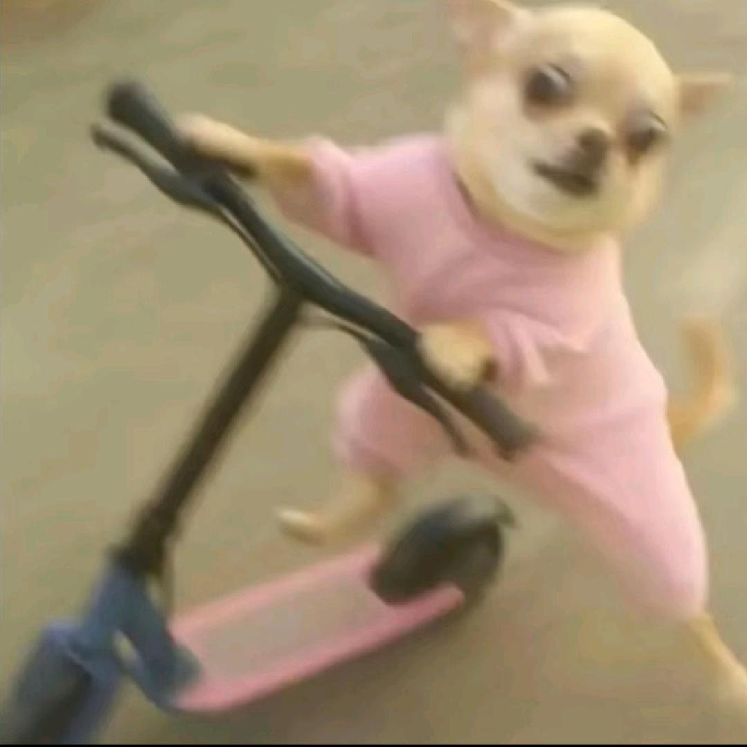 多学一分钟，主人大不同