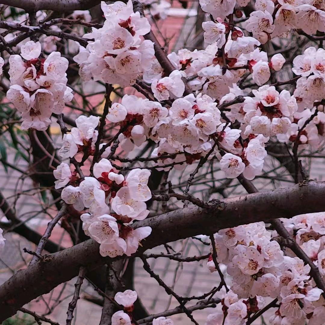 新人新号 互关互助