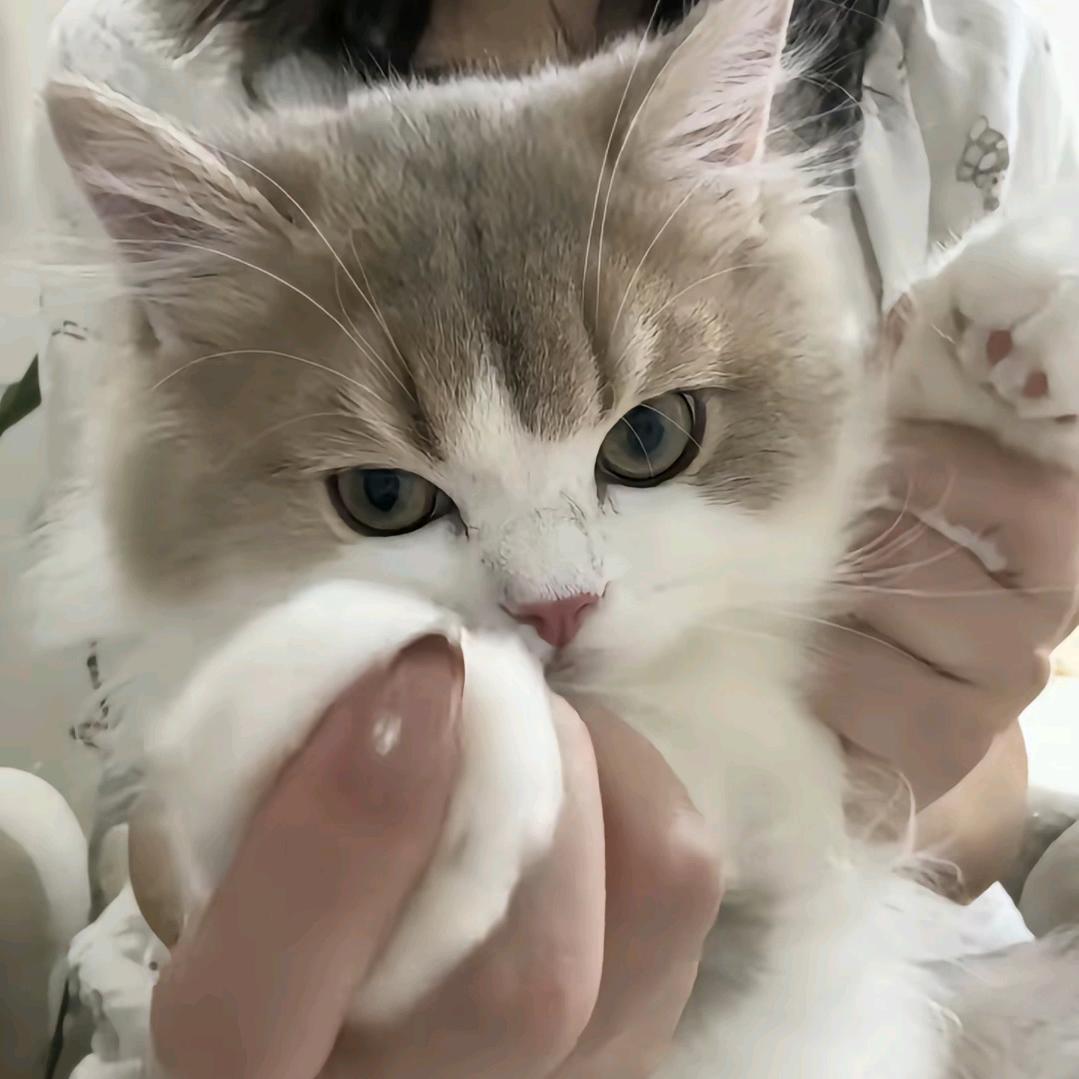 程池