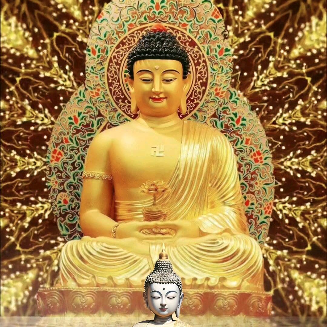 普陀山药师