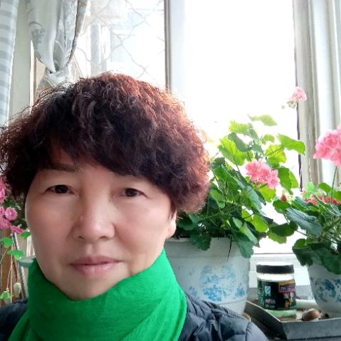 傲雪寒梅