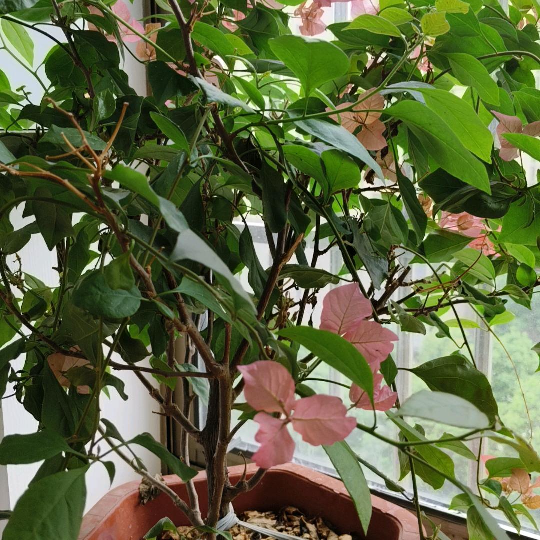 人心难懂