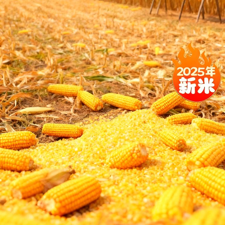 东北黑土农产店