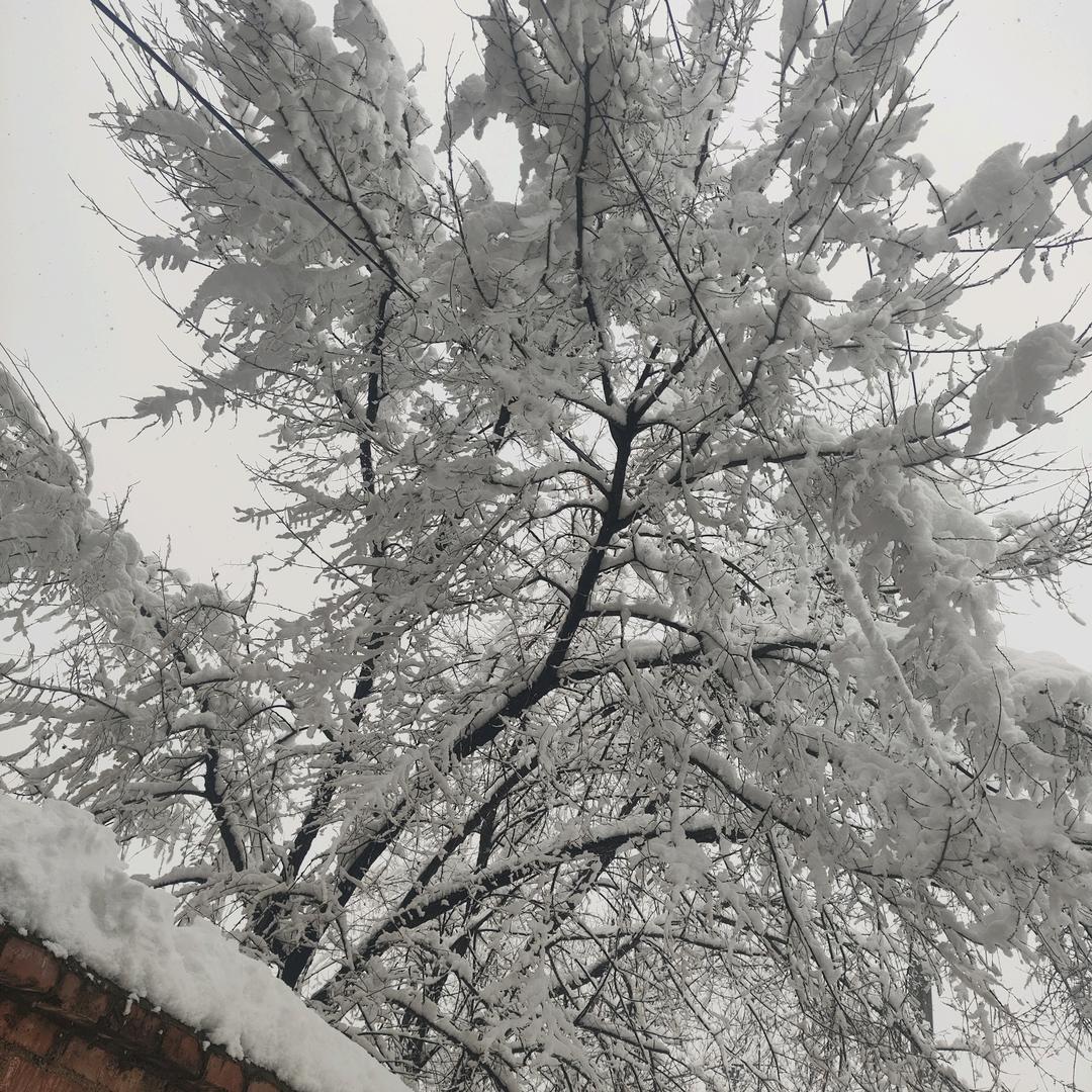 ༺ཉི།简单✨大叔།ཉྀ༻