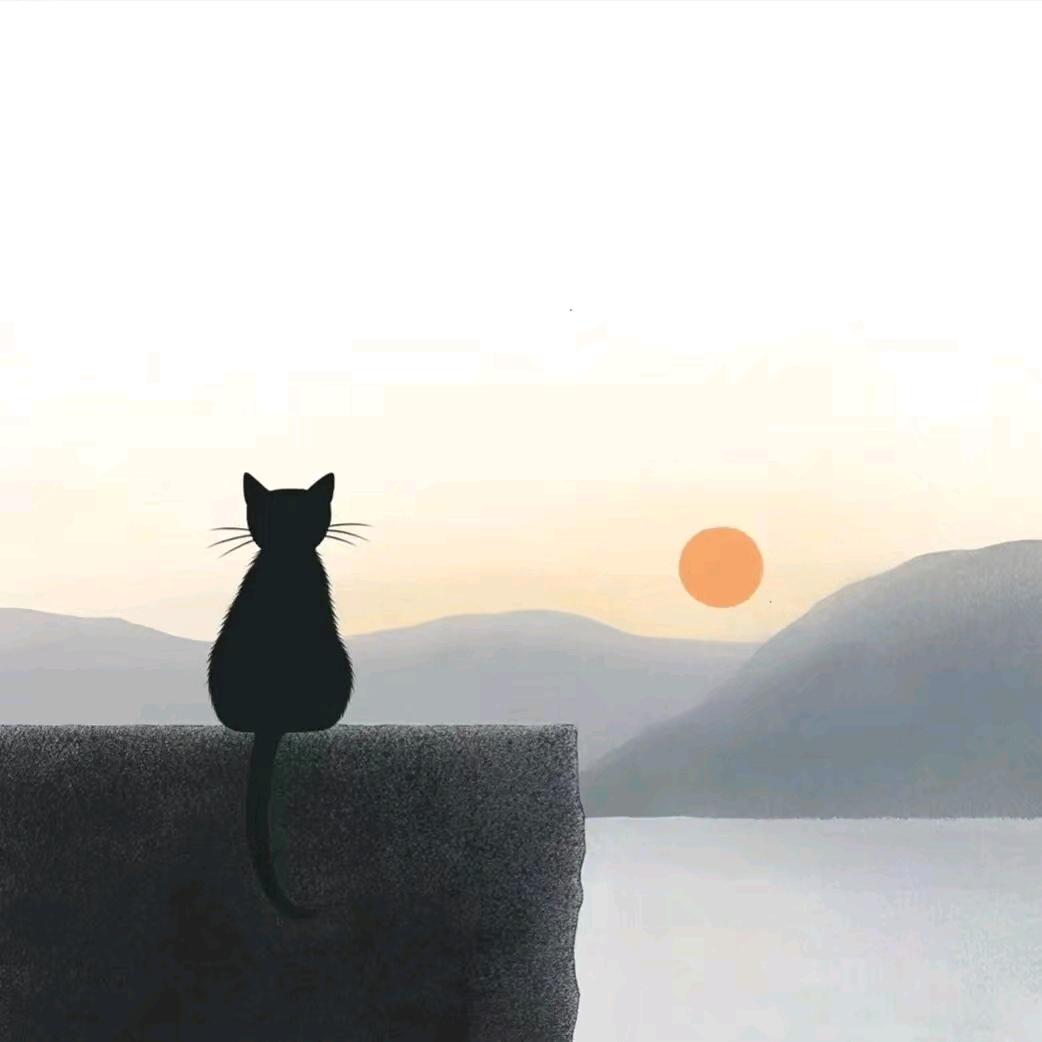 曲夏奈盖子