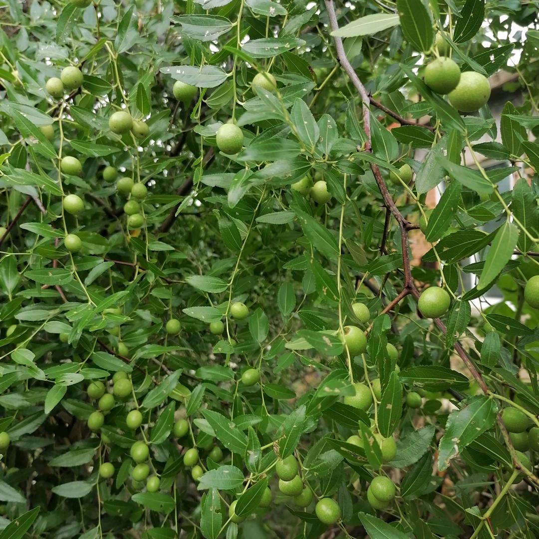 豆豆女装工厂店