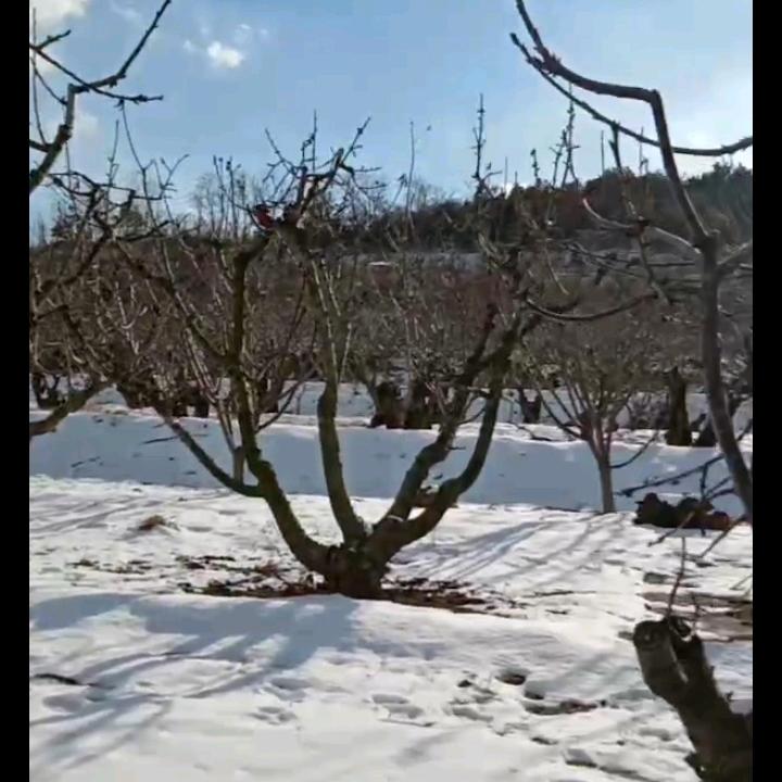 有缘千里相会