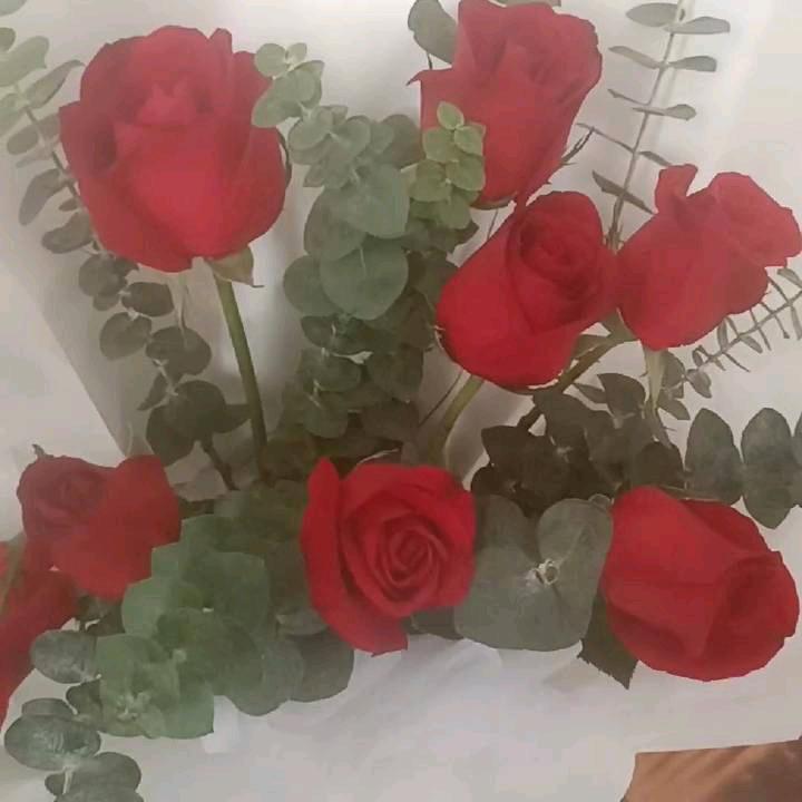 依依小公主🌸🌸🌸🌸🌸