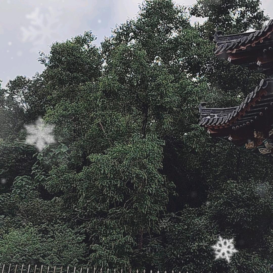 雄鹰哥