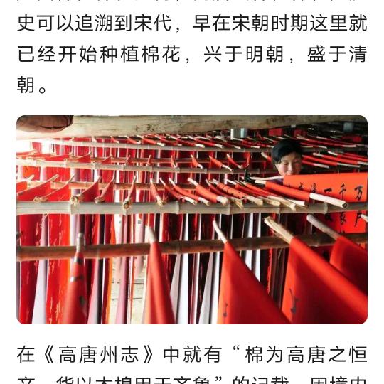 大唐王哥