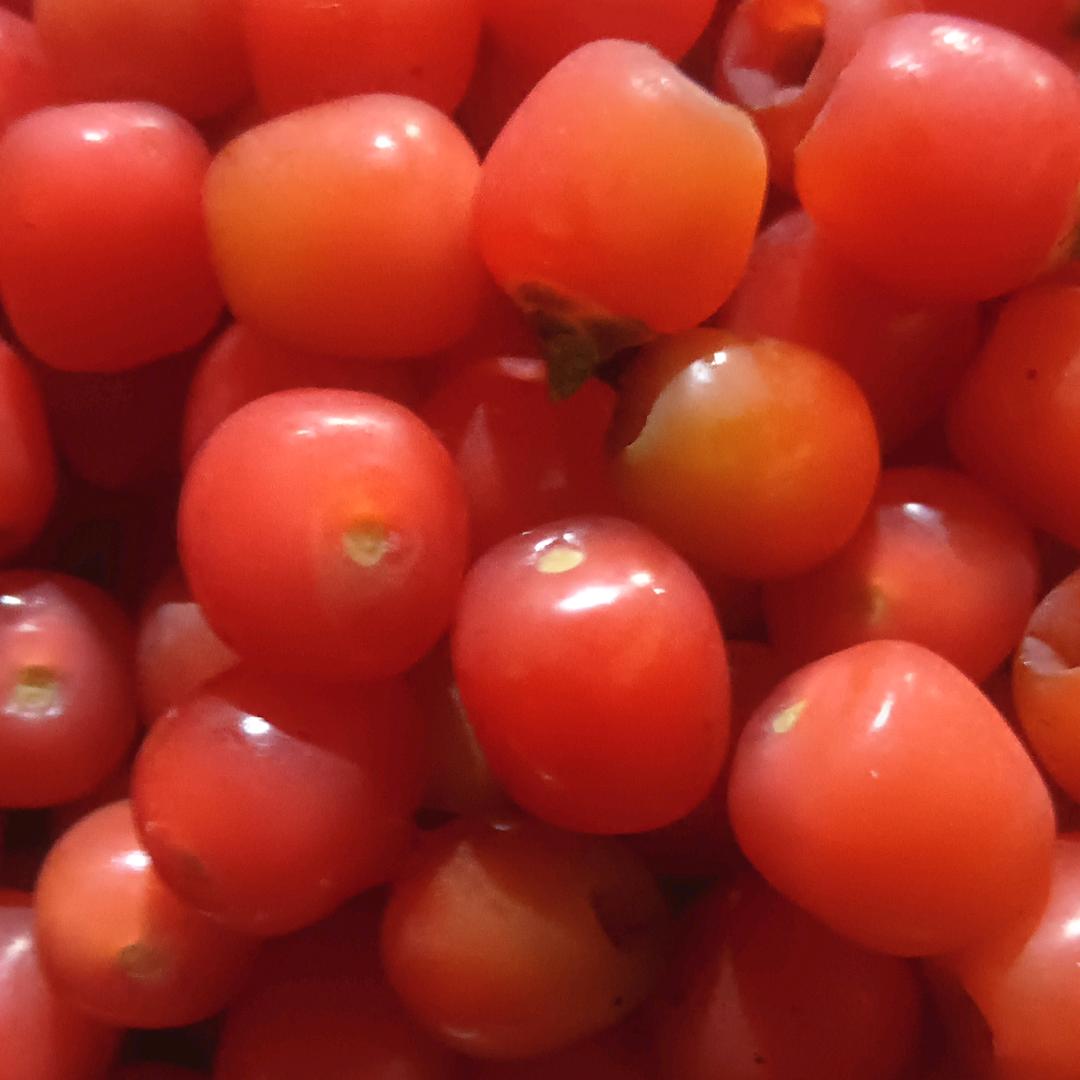 苦尽甘来，一路向阳