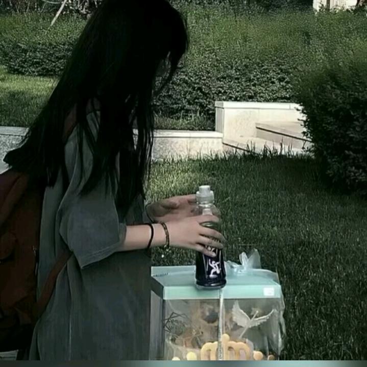 夜郎小妹子
