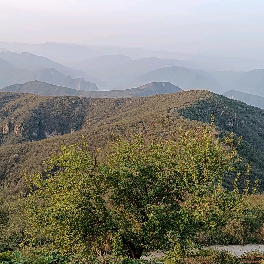 东方君王