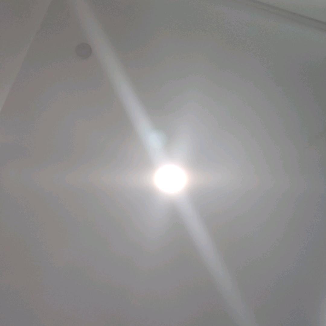 朵朵（爆款推荐）