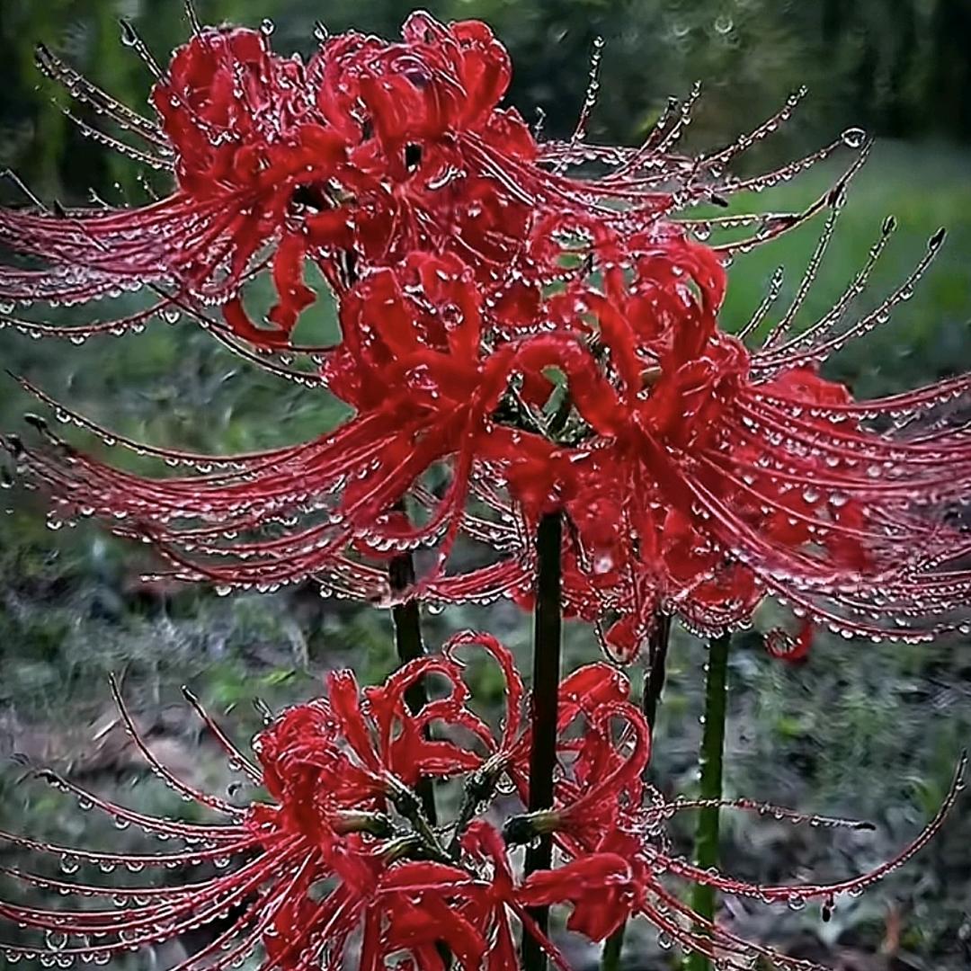 🚬ᥫᦸᐝ硪的霸道🍻只為迩ꦿ࿐