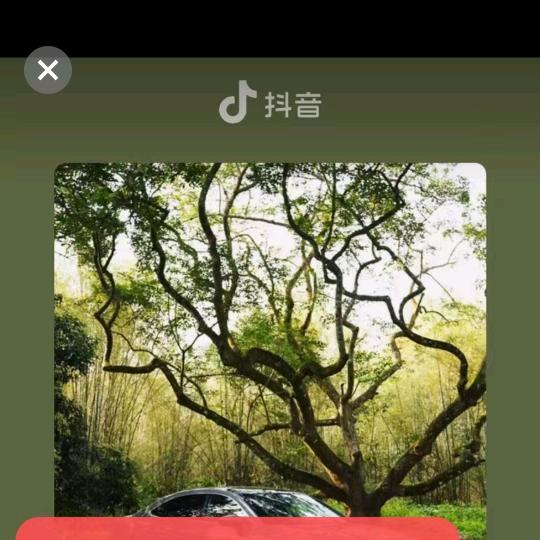 心存善心头像