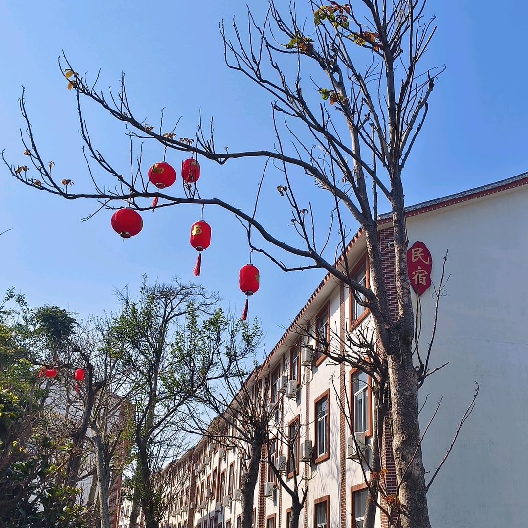 Yang丽🏸