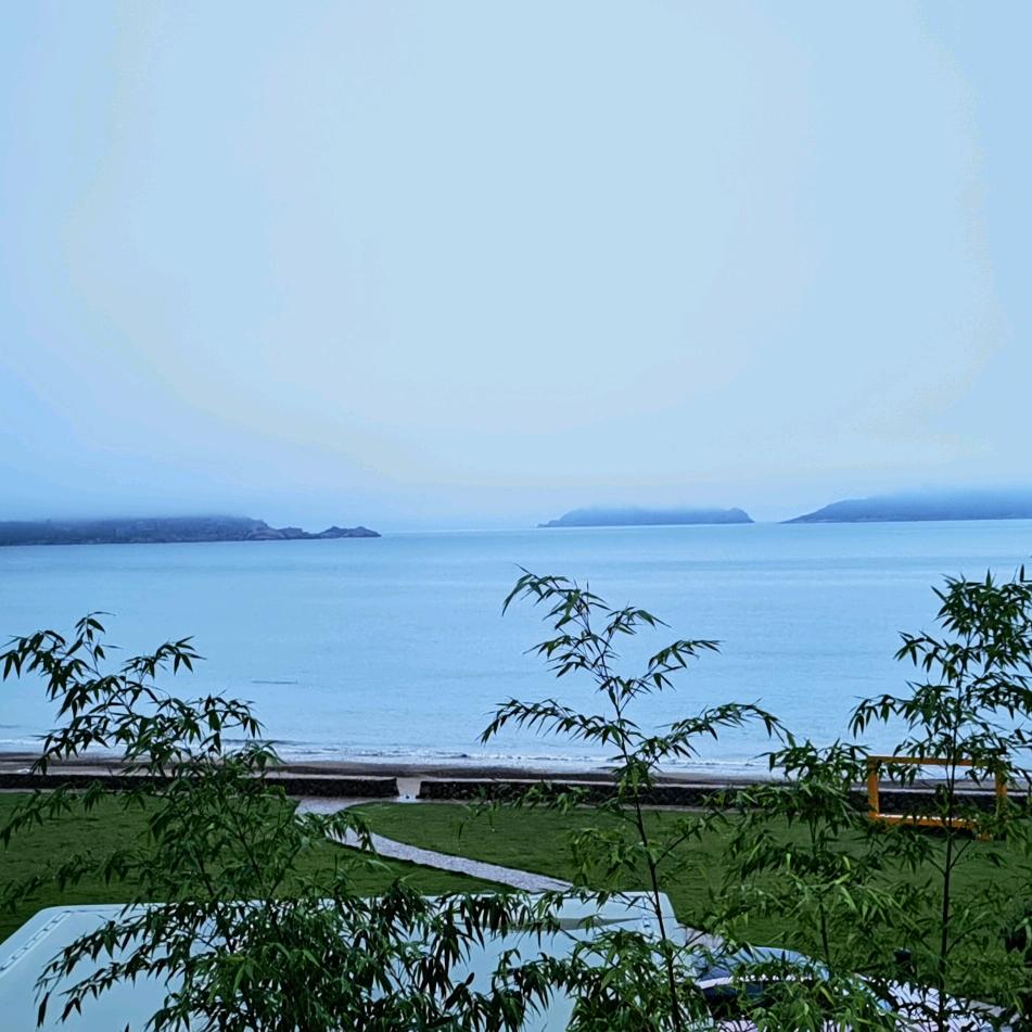 陈卫根