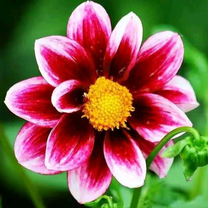 平易近人🌺