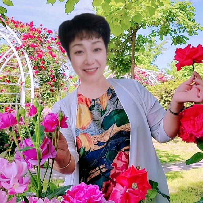开心五朵