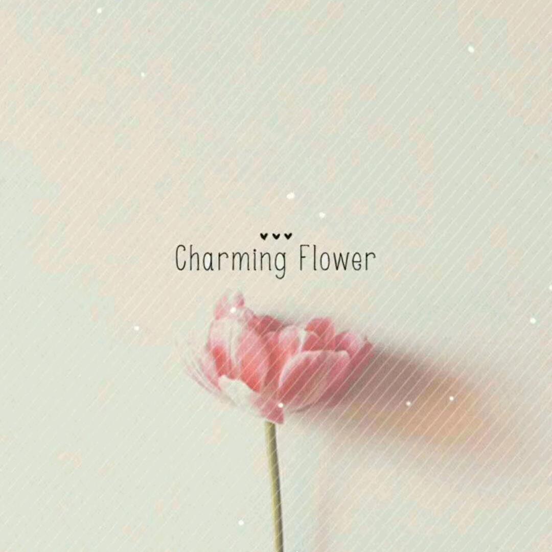 𝕎𝕒𝕟ۖ𝕘ۣۖ👑