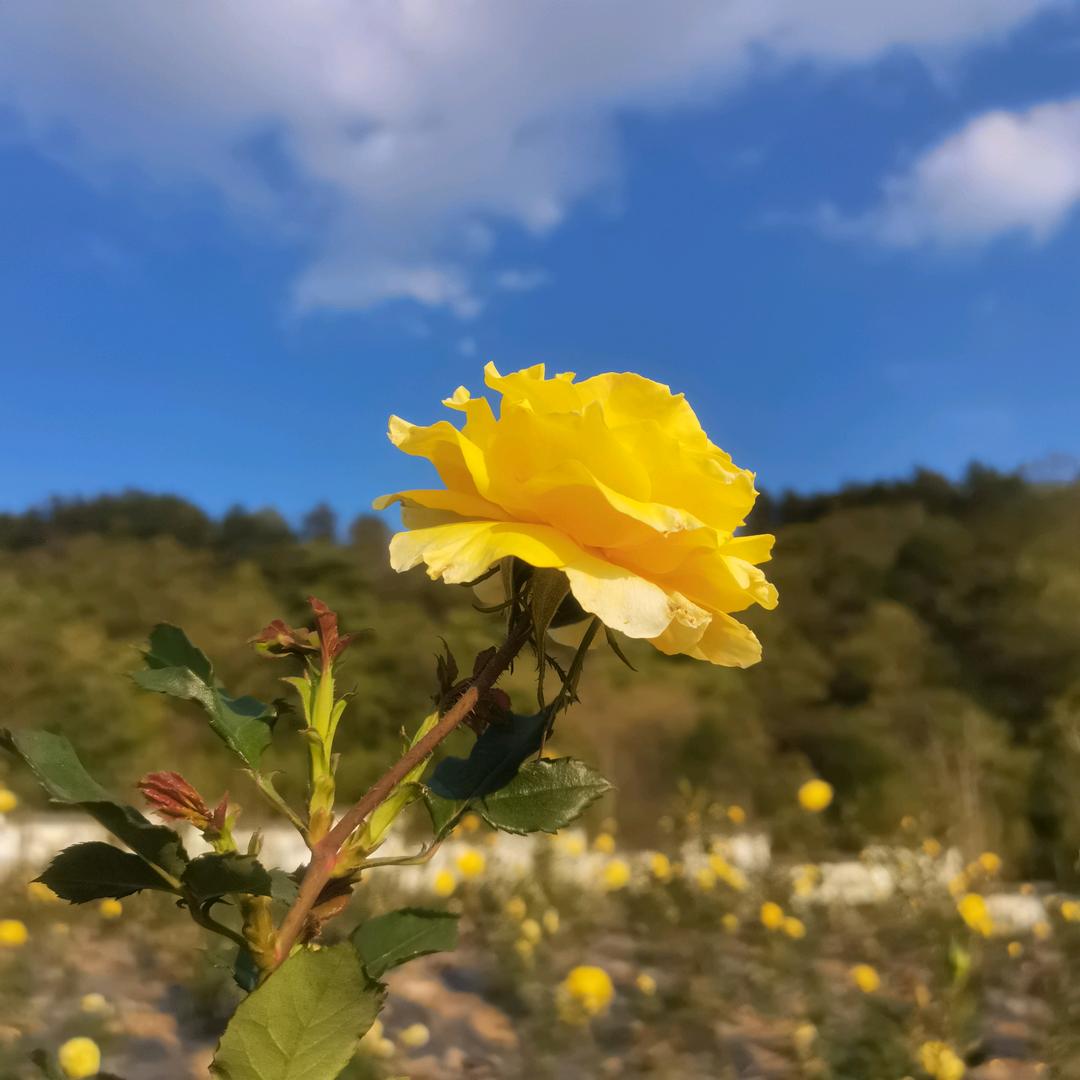 4️⃣🎊口🎊之🎊家🎈