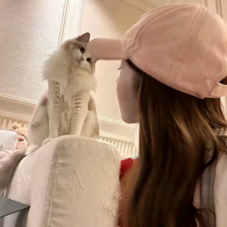 收报废车的MC小彬