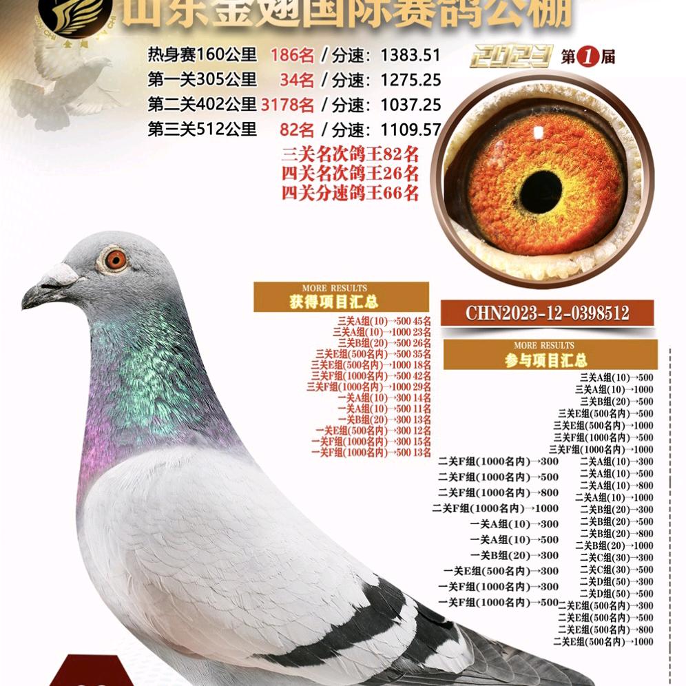春红鸽舍-刘春红