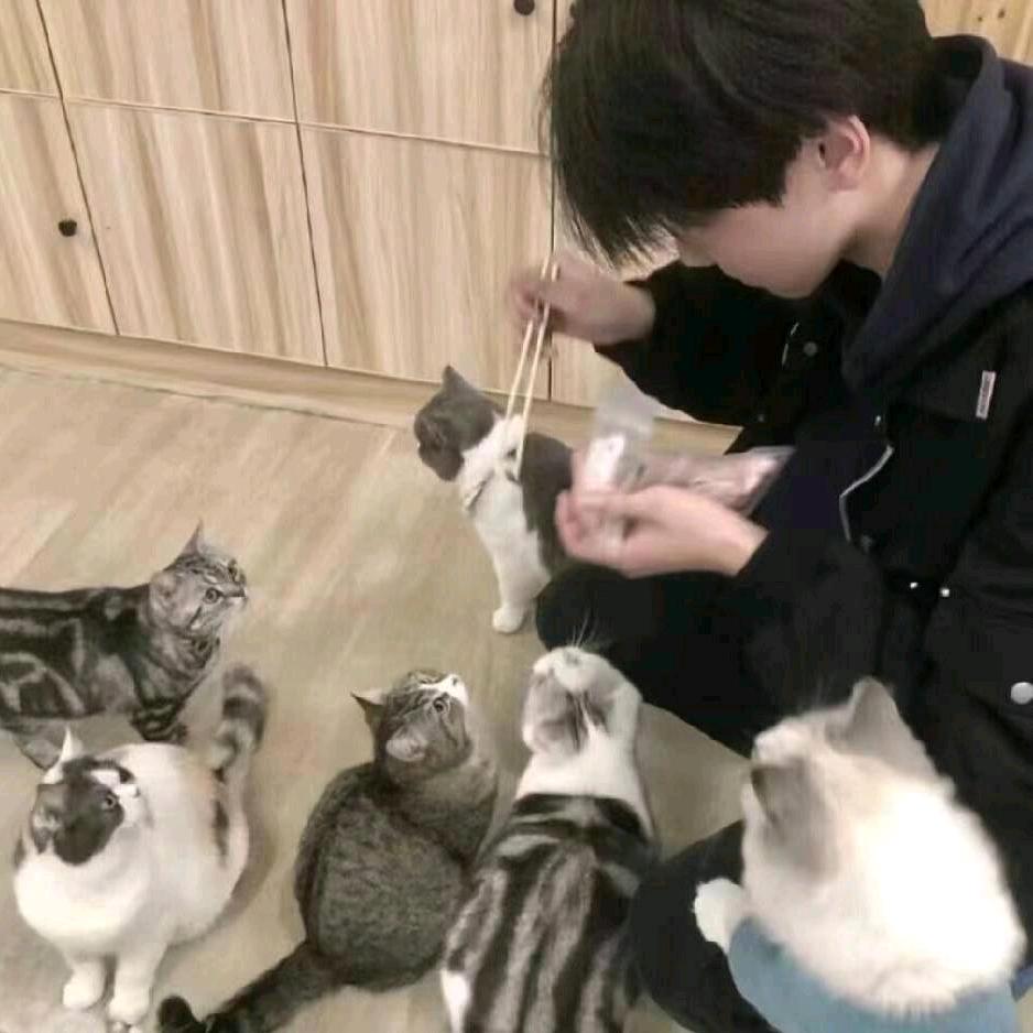 寒蜩