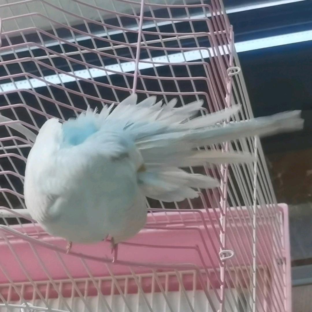 风沙谷的回声