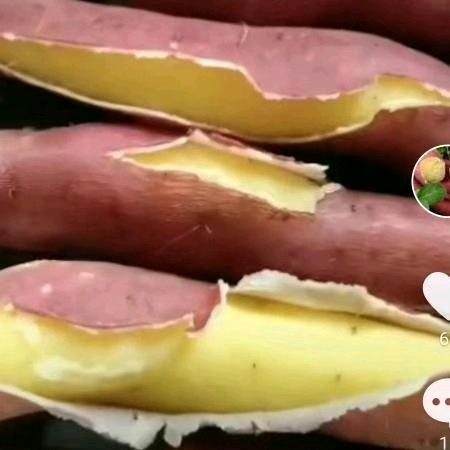 万里垂钓