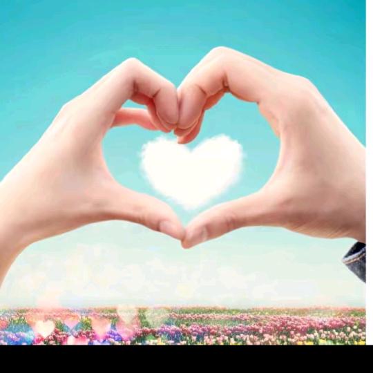 ✨🎈萍水相逄🎈✨