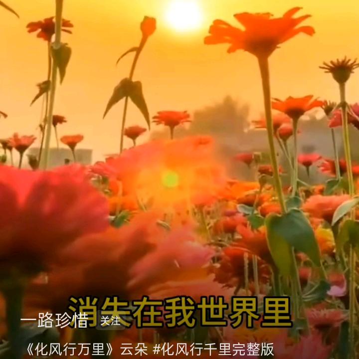 每天爱你多一些