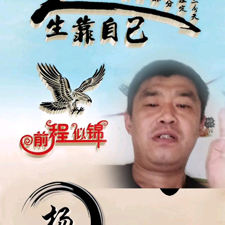 杨海峰