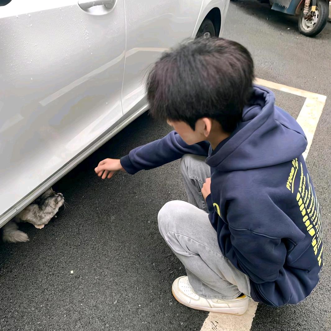 意欲